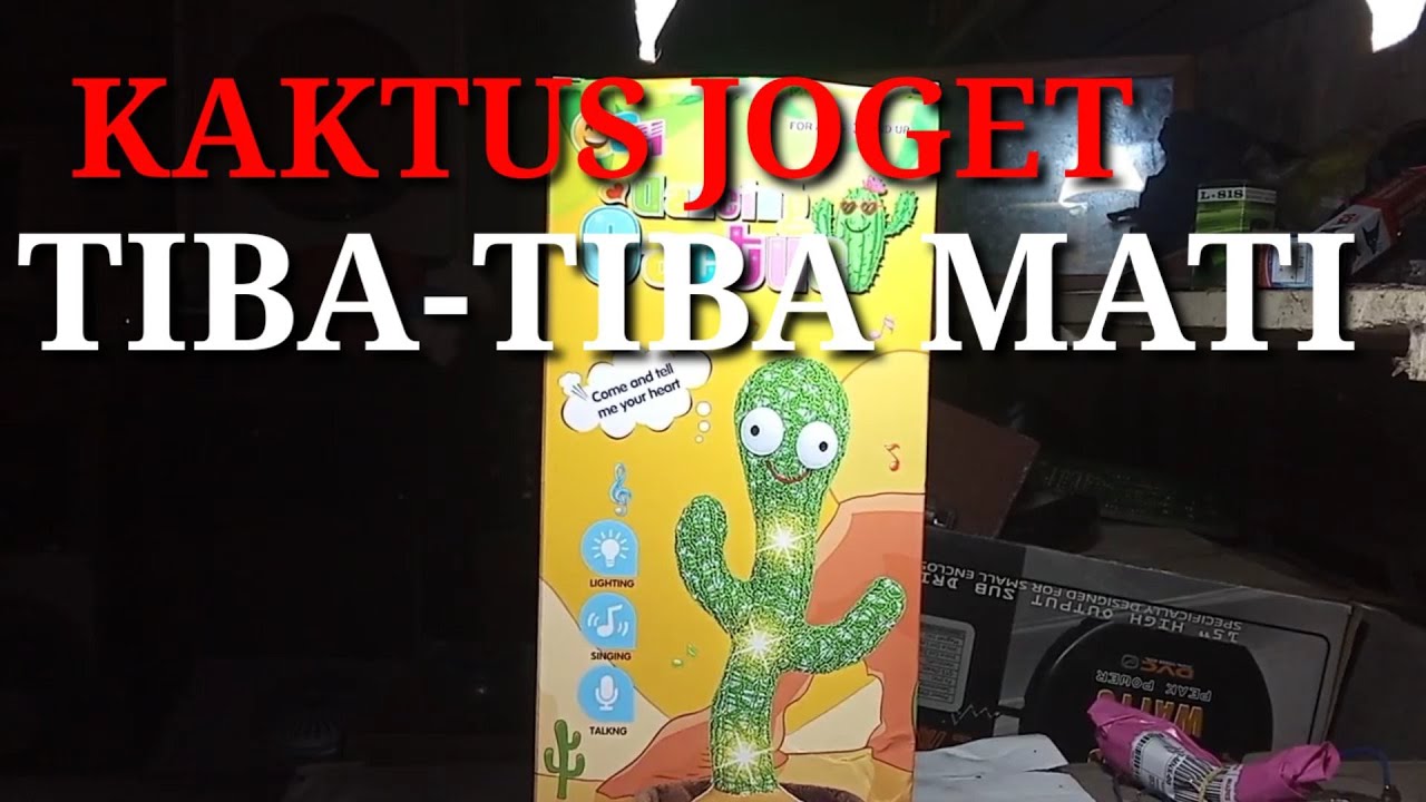 Boneka Kaktus Joget tiba tiba mati