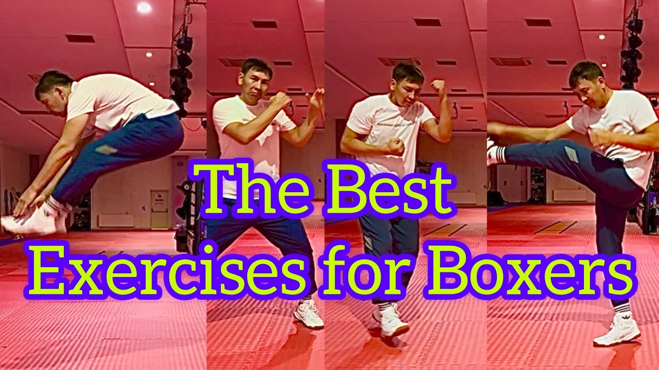 Лучшие упражнения для боксеров #boxeo #boxing #warmup