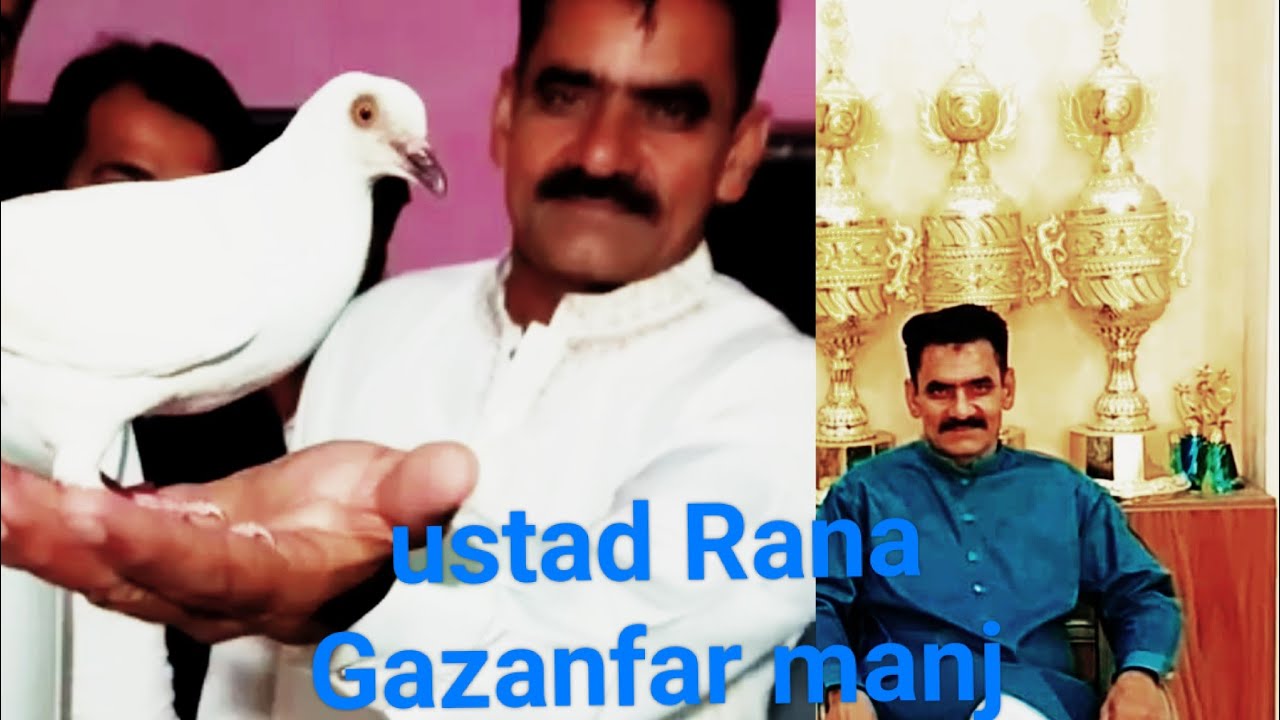 legend ustad Rana Gazanfar manj sahib sy request, Bazi winner, challenger, ustad kabutar parwaree,