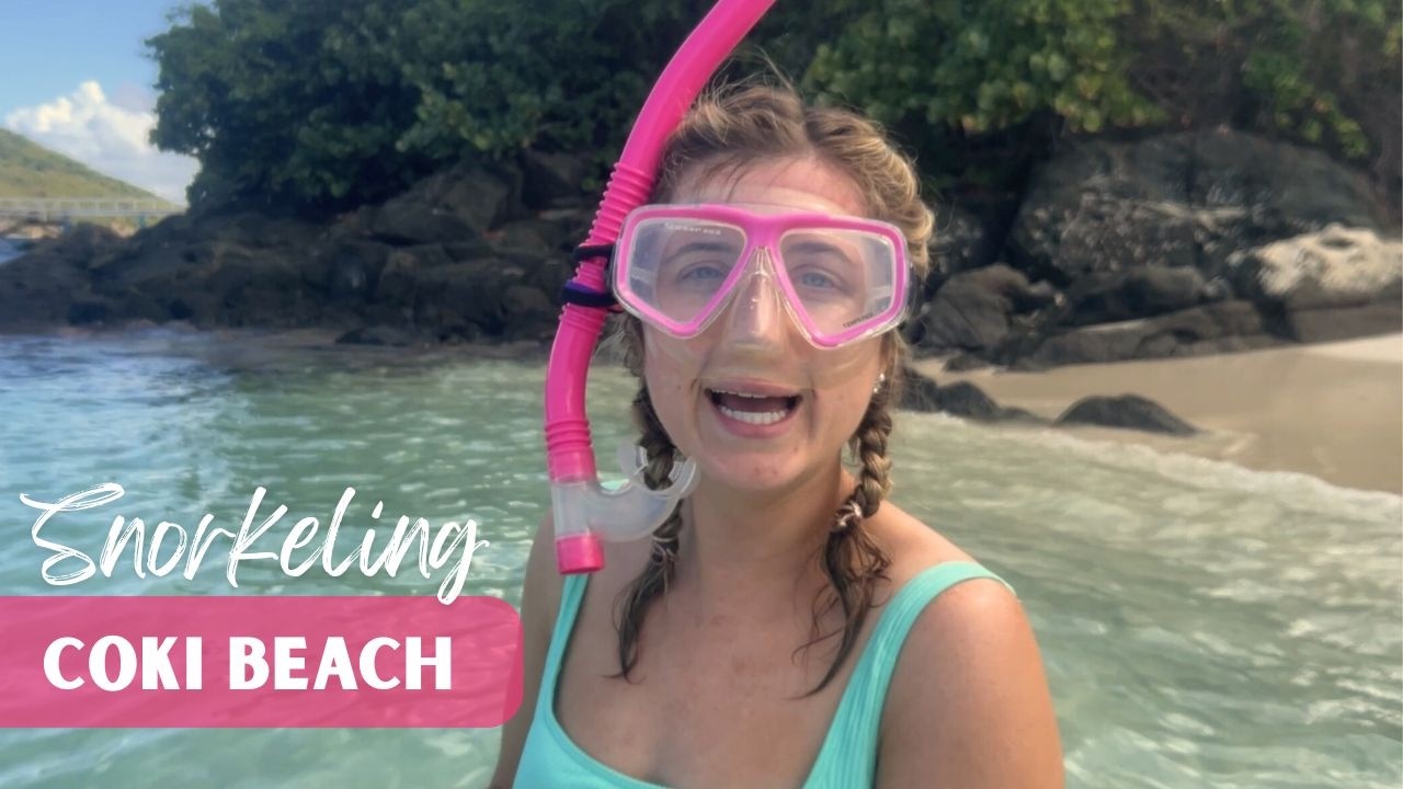 Guide to Snorkeling at Coki Beach, St. Thomas Cruise Port