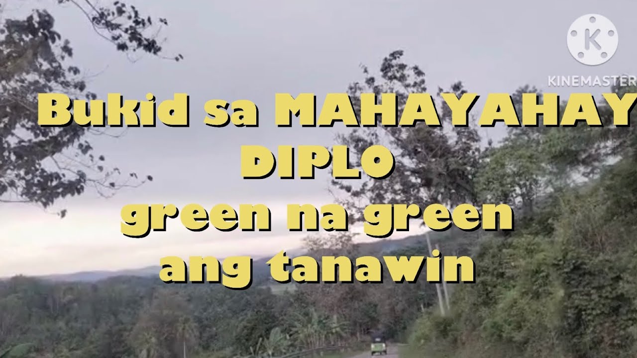 Mountain Province in Mahayahay Diplo Kumalarang Zamboanga Del Sur Philippines 