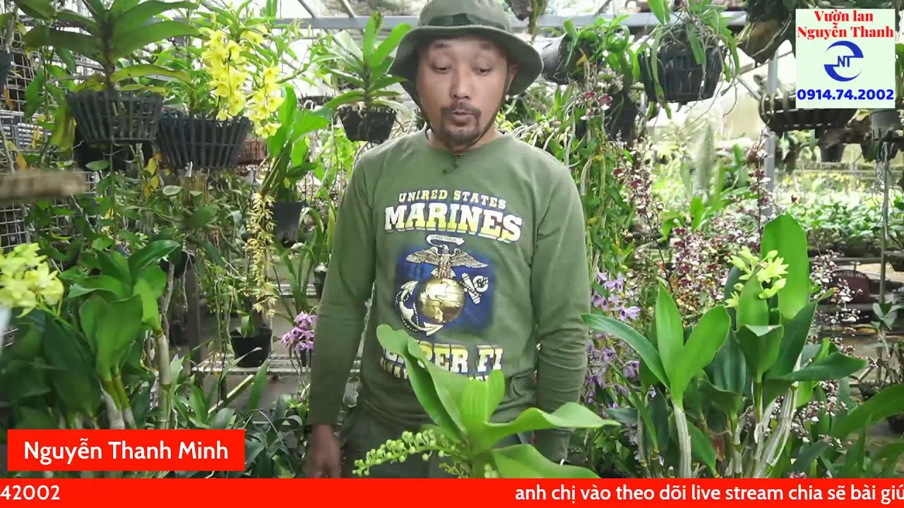 Lan chơi Tết 28/1