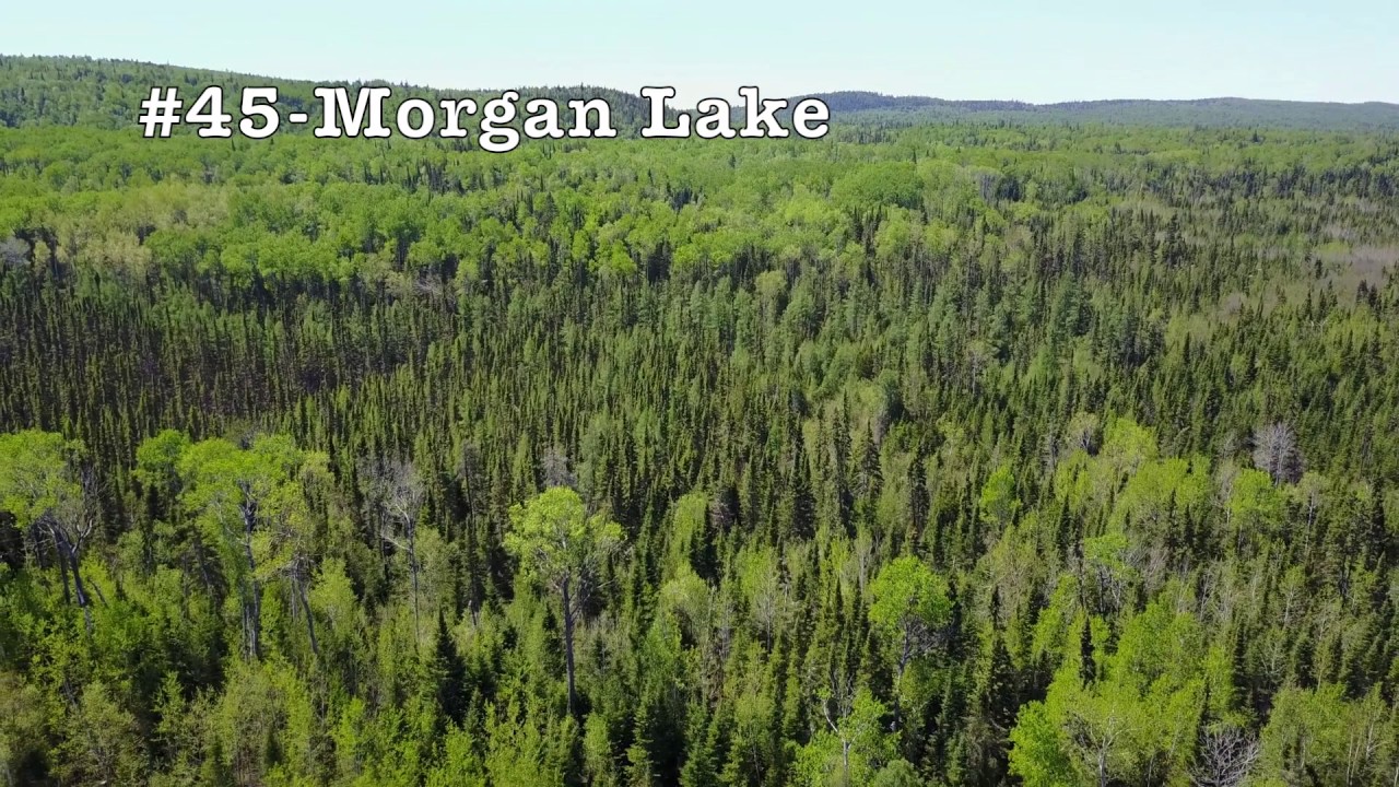 BWCA Entry Point #45-Morgan Lake