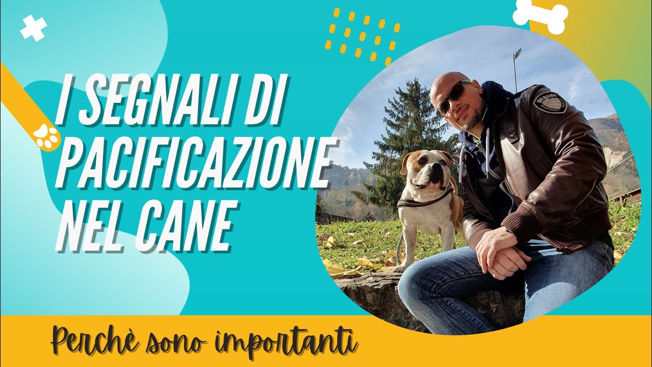 I segnali di pacificazione nel cane
