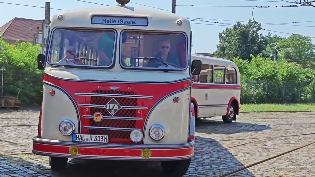 IKARUS 66, IFA H6B mit Anhänger und Ikarus 180
