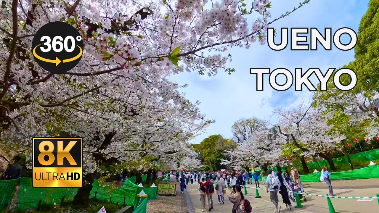Ueno, Tokyo, Japan | 360º 8K