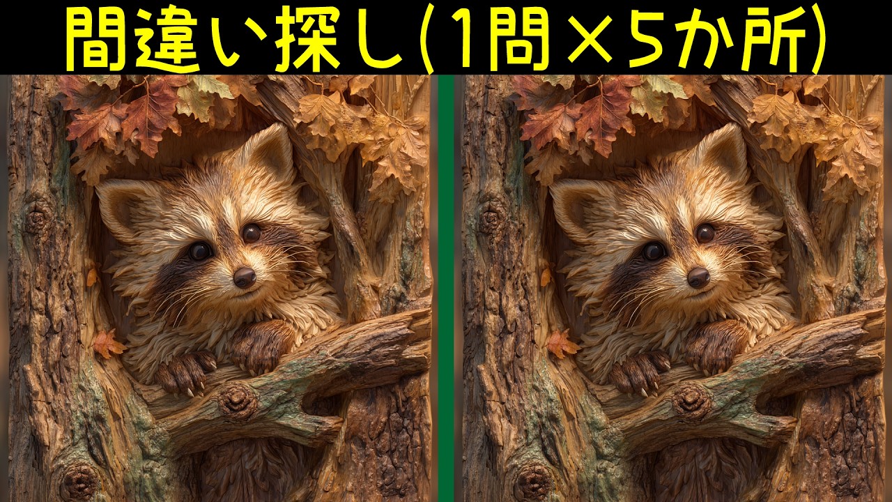 あらいぐまのイラストで間違い探し。1問5か所でサクッと脳トレ