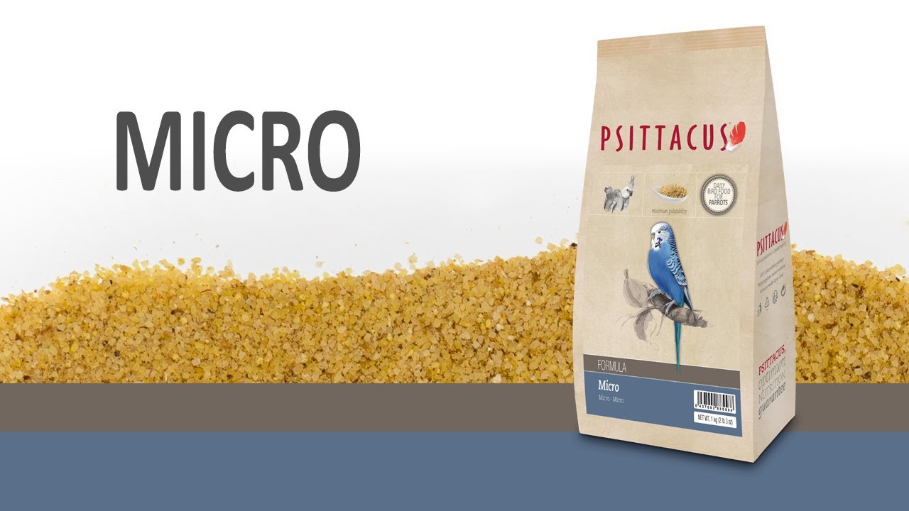 Micro (versión en español)