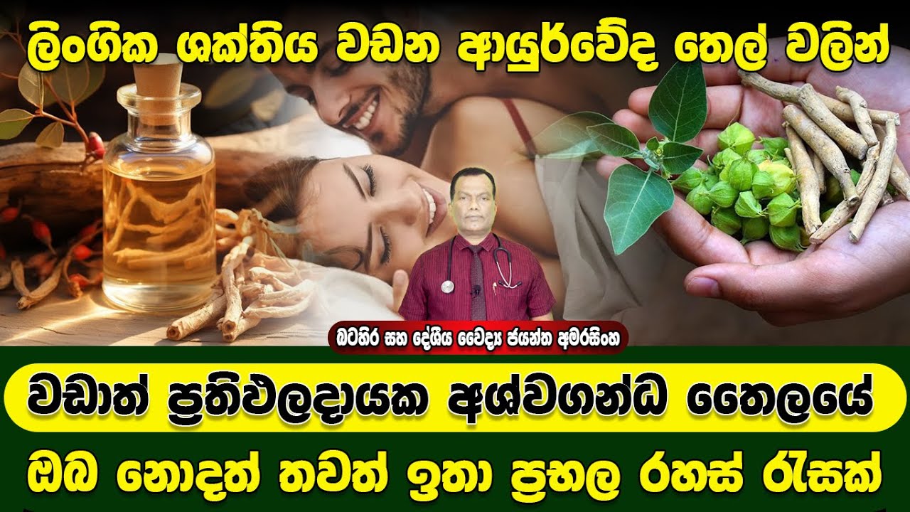ලිංගික ශක්තිය වඩන ආයුර්වේද තෙල් අතරින් වඩාත් ප්‍රතිඵලදායක අශ්වගන්ධ තෛලයේ ඔබ නොදත් ප්‍රභල රහස් රැසක්