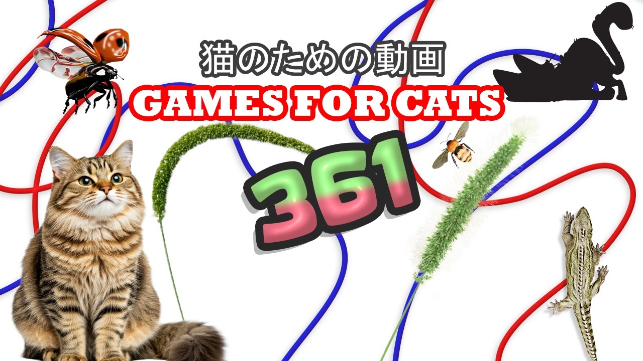 🐾 CAT GAMES 3DキャットTVスピードハント｜リアルなネズミ狩り・トカゲ追跡・小鳥ダッシュ【猫用 8時間 4K60FPS】