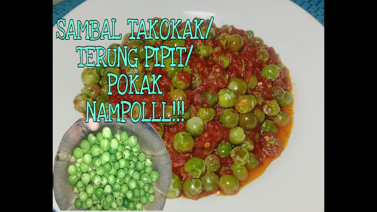 #sambal  TUTORIAL MASAK SAMBAL TERUNG PIPIT/TAKOKAK/POKAK DI RUMAH YANG NAMPOL DAN ENDEEUUSSS