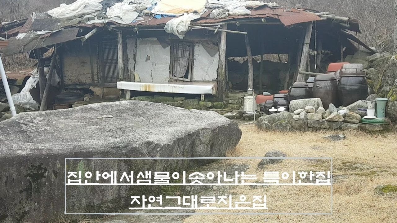 집안에서 샘물이솟아나는 특이한집이있네요//