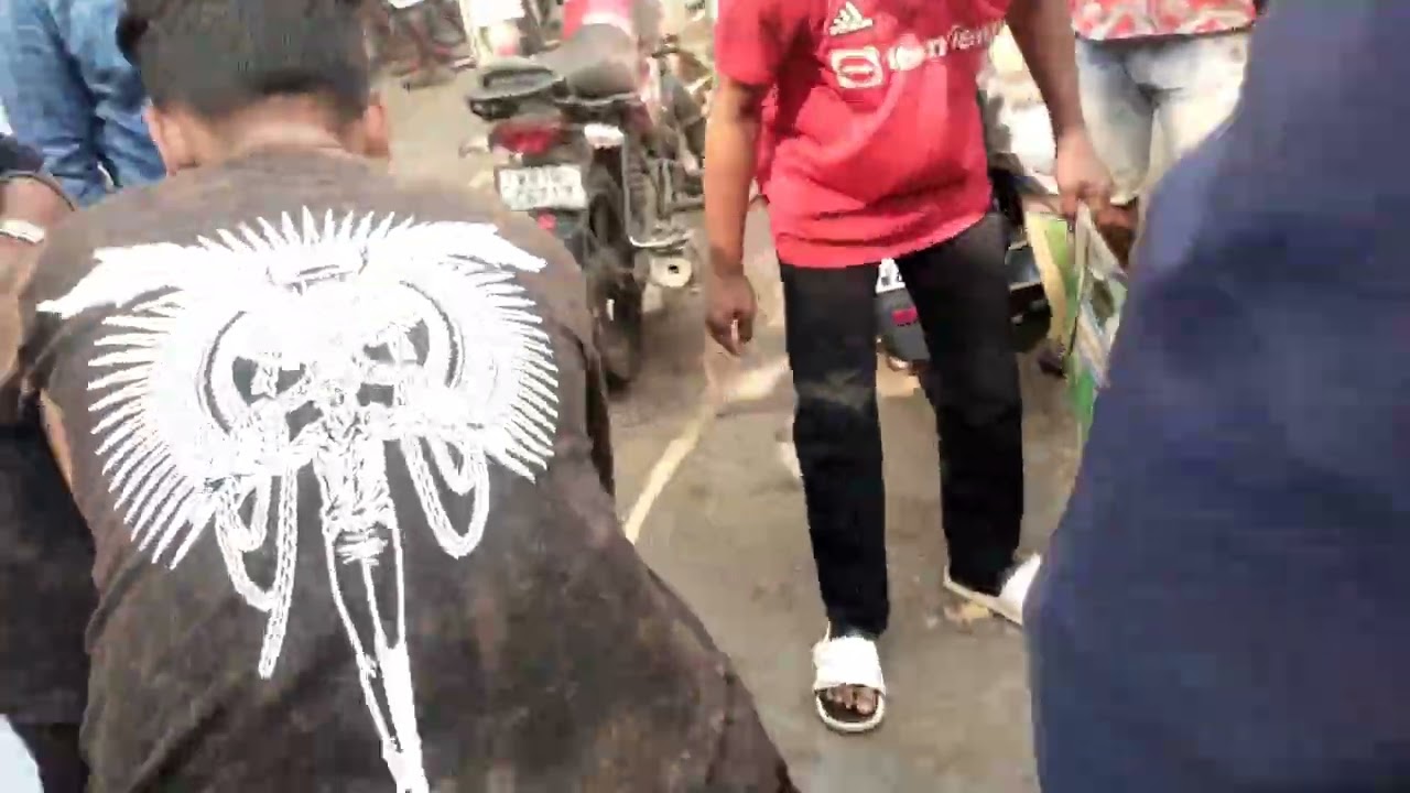 কোলকাতা টালা পায়রার হাট  🕊️🕊️ ৮/২/২৬