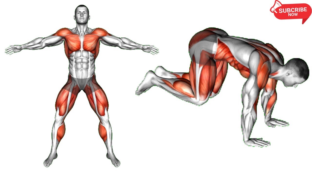 Legs & Lungs: High Intensity Conditioning for Athletes.
