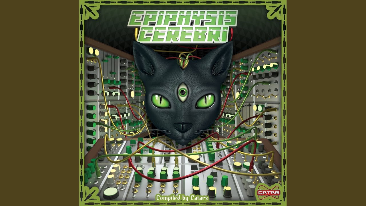 The Implicate Order (Original Mix)