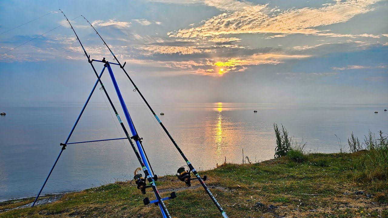 Sea fishing | Mostyn | North Wales