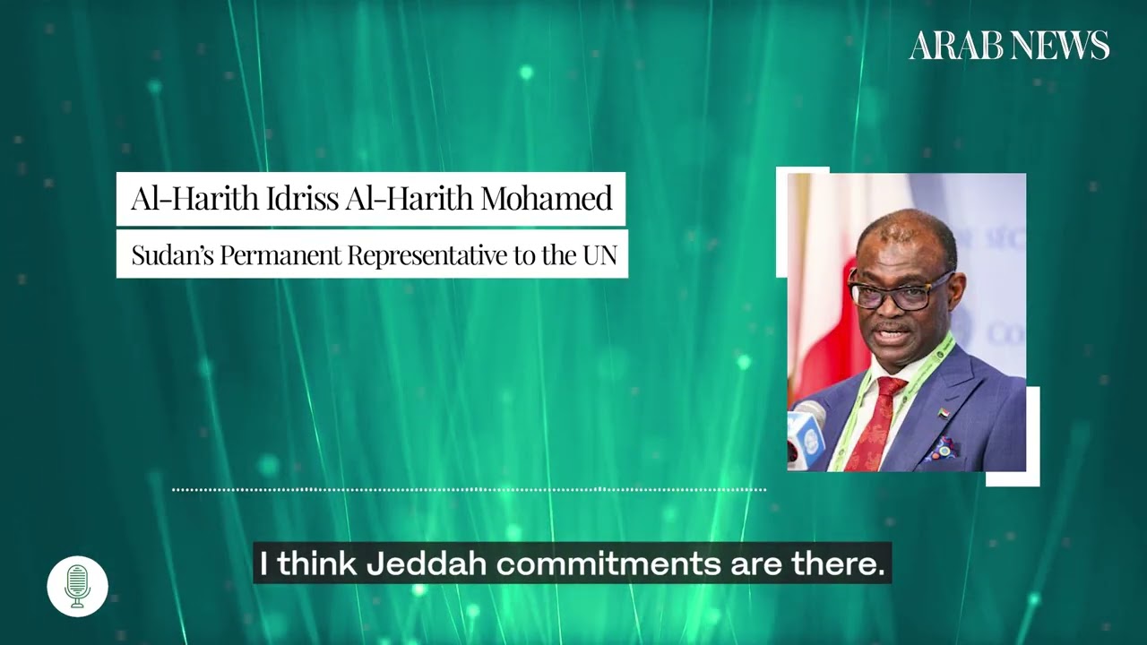 Special Interview: How can the world stop the flow of arms to Sudan’s RSF militia?