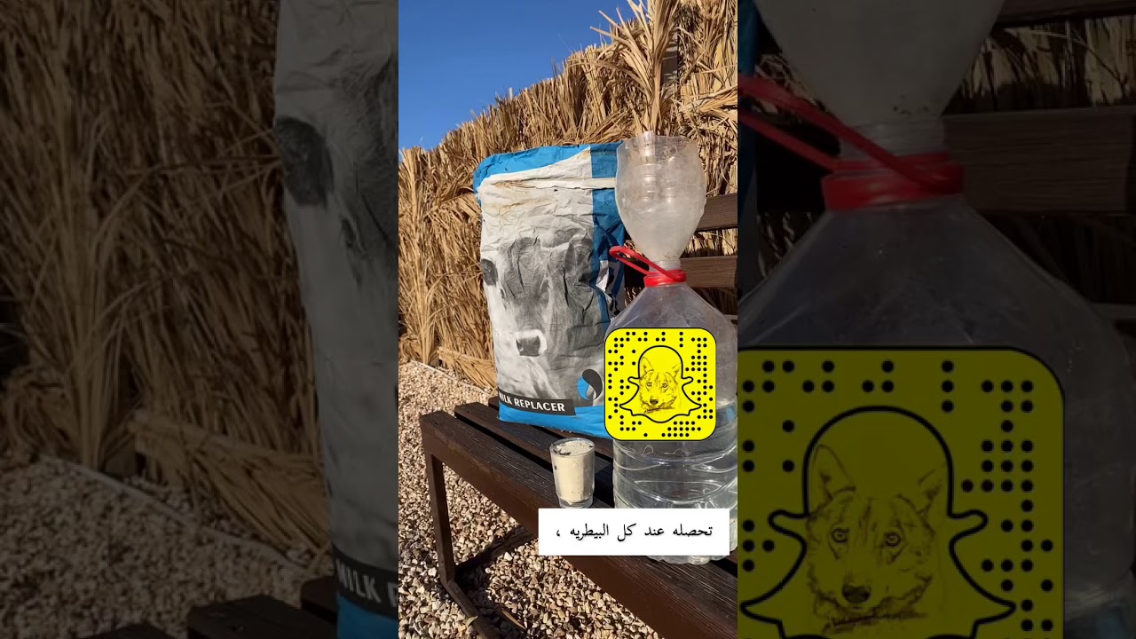 حليب للحيوانات