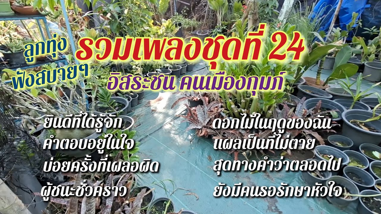 รวมเพลงชุดที่24 ลูกทุ่งฟังเพลินๆ อิสระชน คนเมืองกุมภ์ 