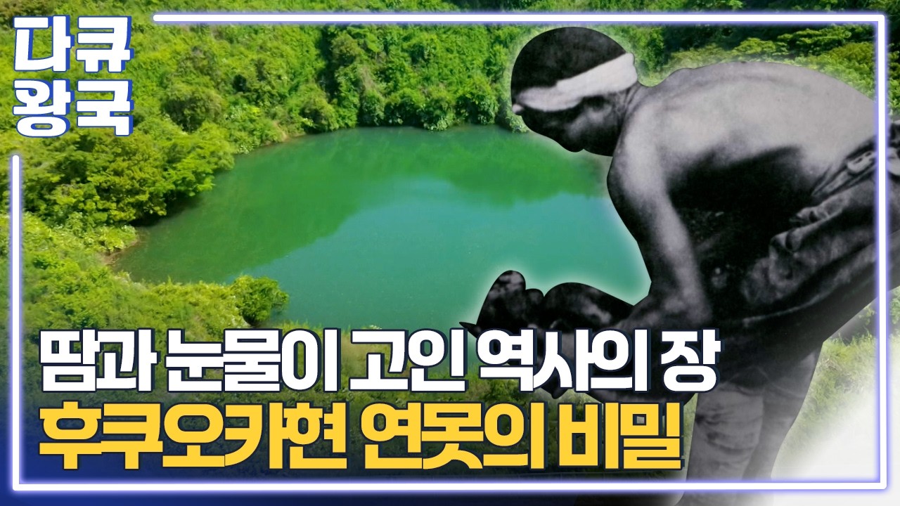 재일역사문화활동가 박강수, 그가 후쿠오카현의 평화로운 연못을 찾아온 이유는... [나는 아직 지지않았다1부2 대구MBC]