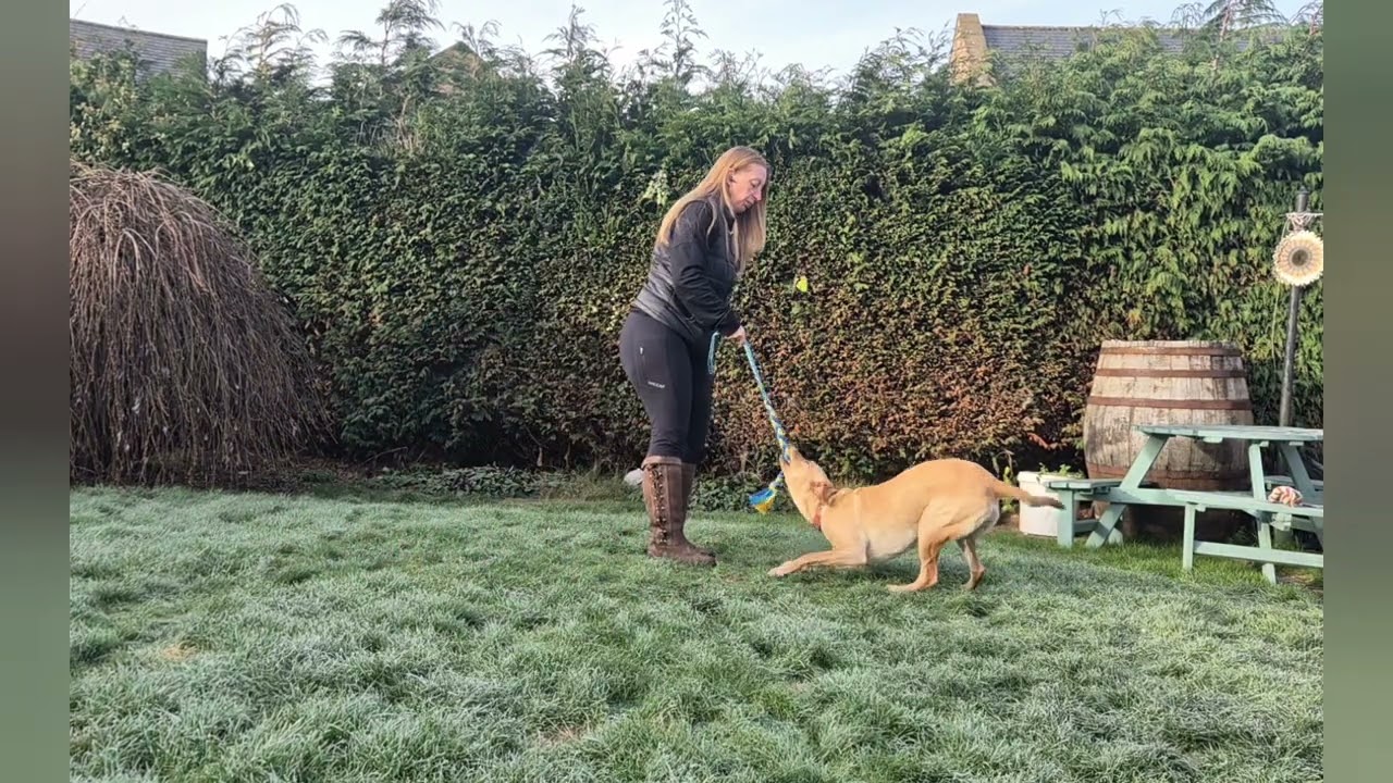 Tug Play Skills 1 - Get it