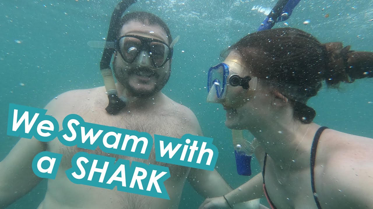 Monkeys, Sloths, and a Shark: Cahuita National Park | Ep. 4 Cahuita, Costa Rica
