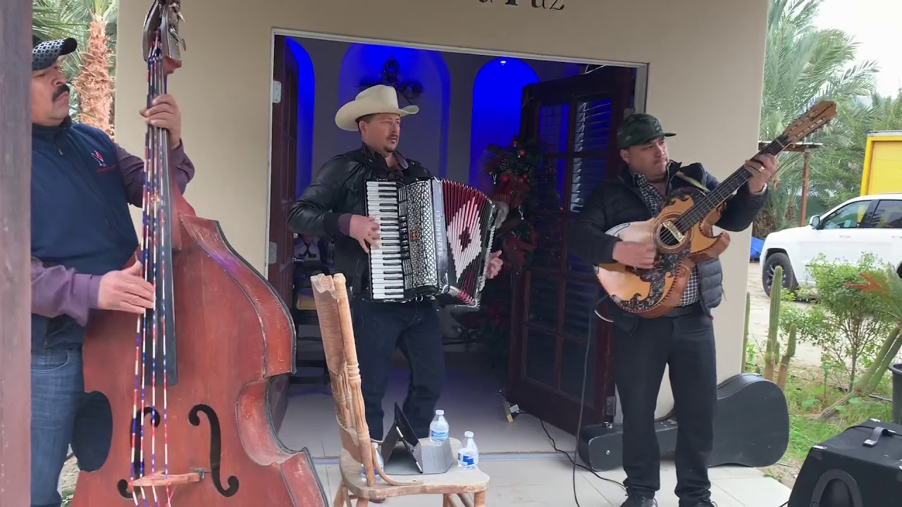 Clavel de primavera- javerion beltran ft. Los Nuevos Nortenos de Durango