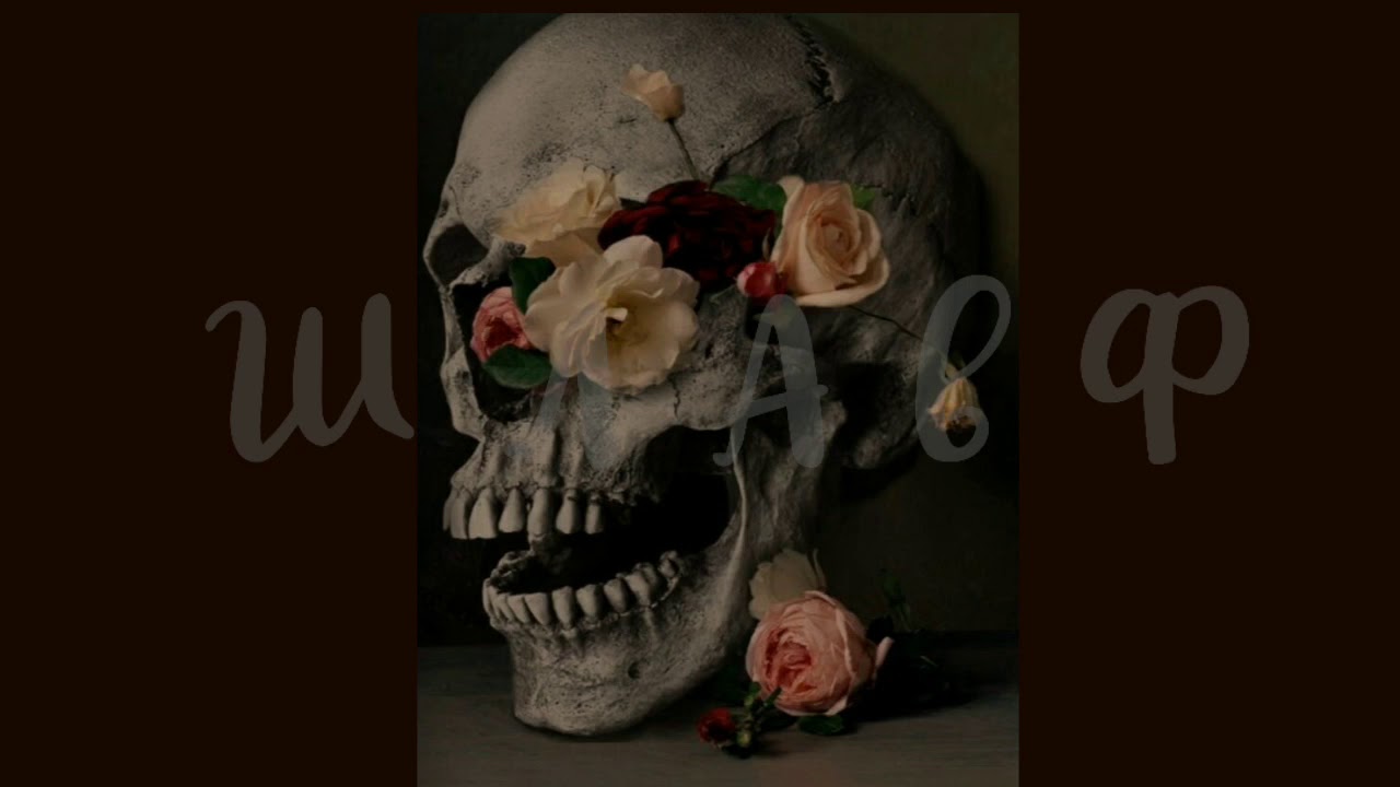 //Чёрная - Алёна Швец//