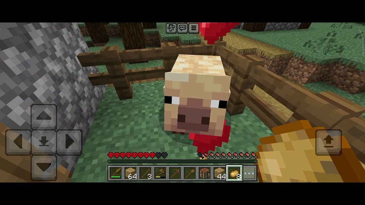 Minecraft 5 bölüm 