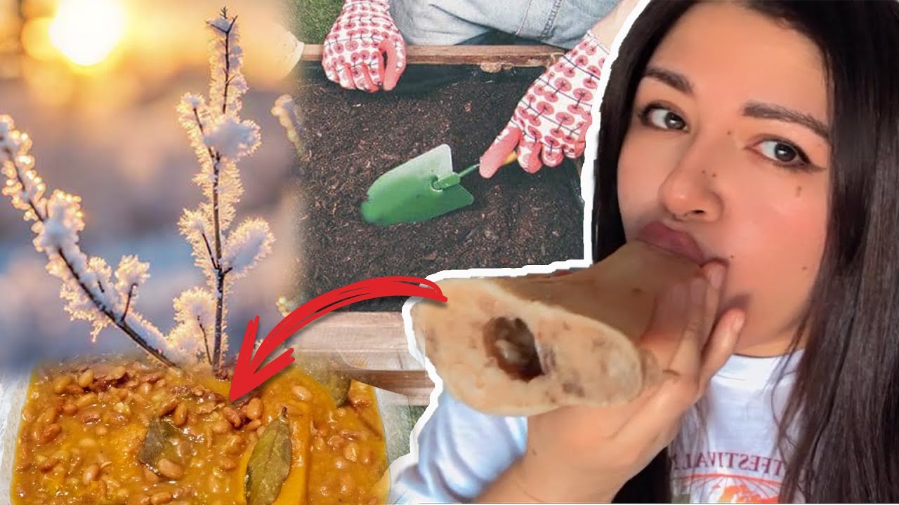 Preparando Minha HORTA na SUÉCIA e Revivendo Sabores do NORDESTE BRASILEIRO