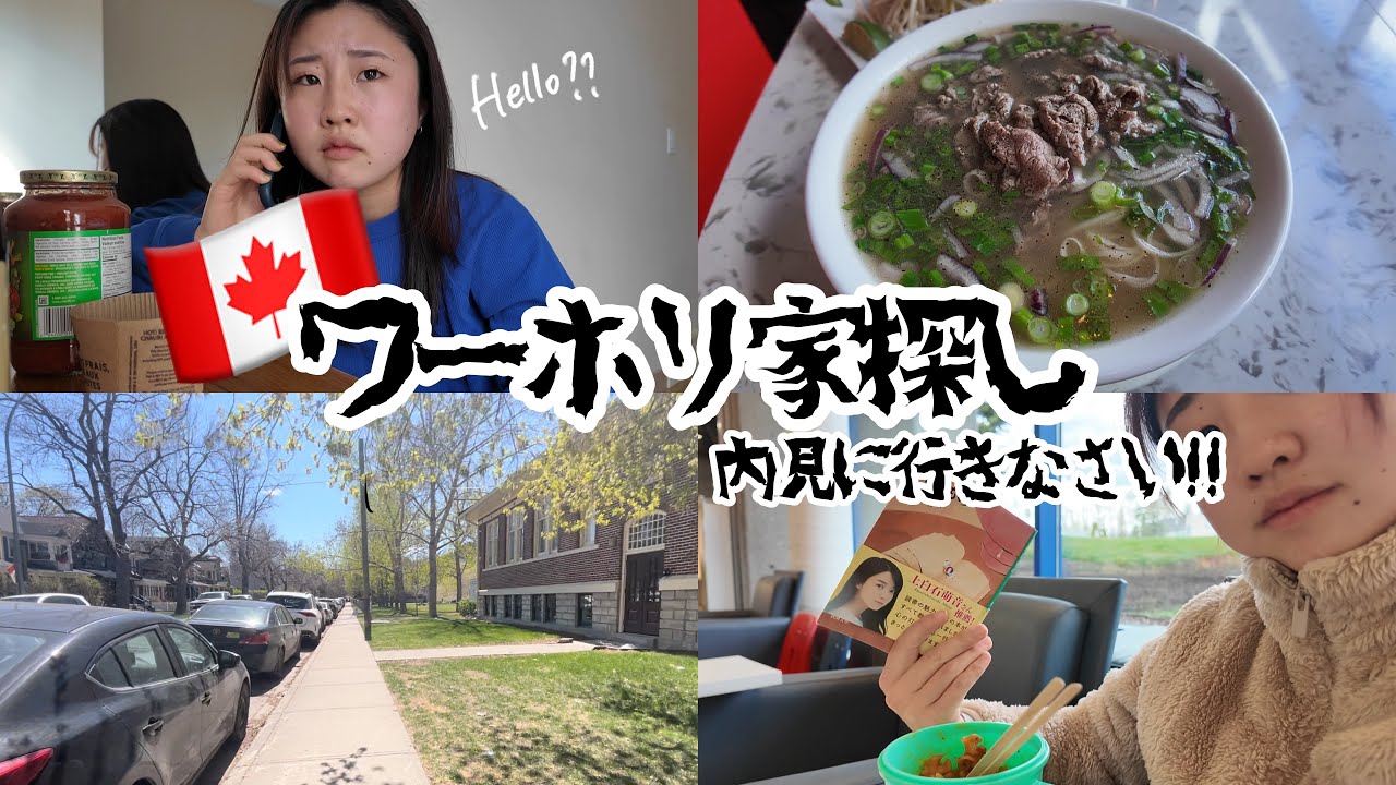 【🇨🇦カナダワーホリ】内見に行かないとこうなるぞ！家探しで使えるアプリ/選ぶときのポイント in カルガリー