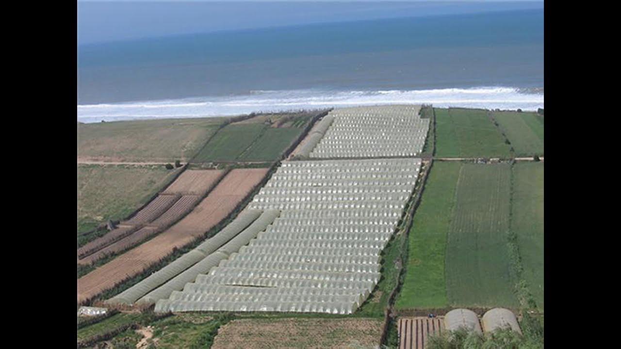 Présentation de l'Agriculture dans de la région de Casablanca-Settat, Maroc