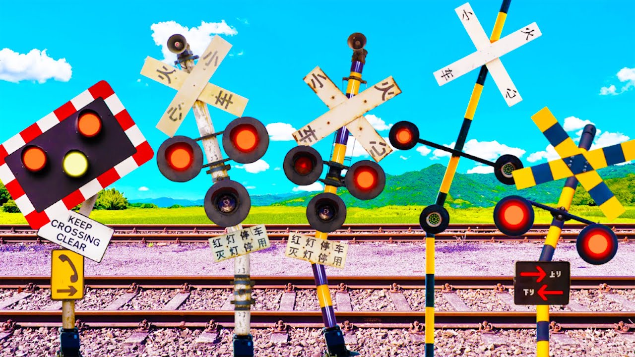 Reunited With the Railroad Crossing Who Was Separated 😂