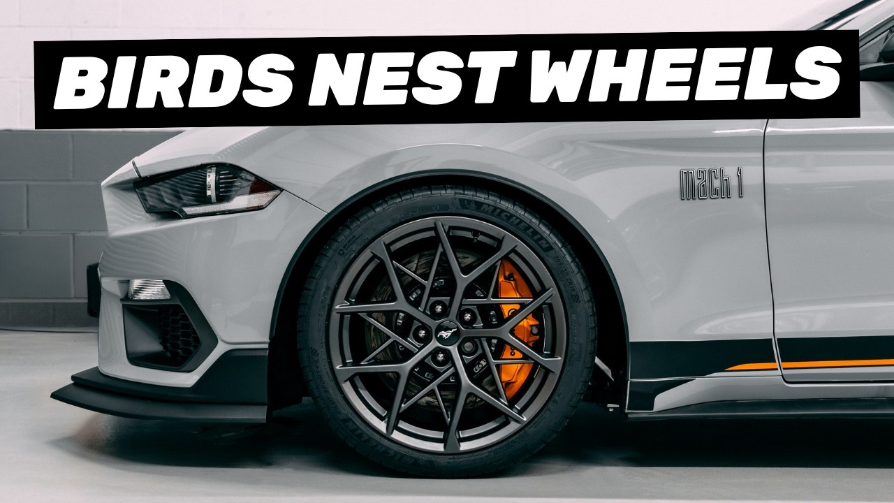 Ford Performance 19