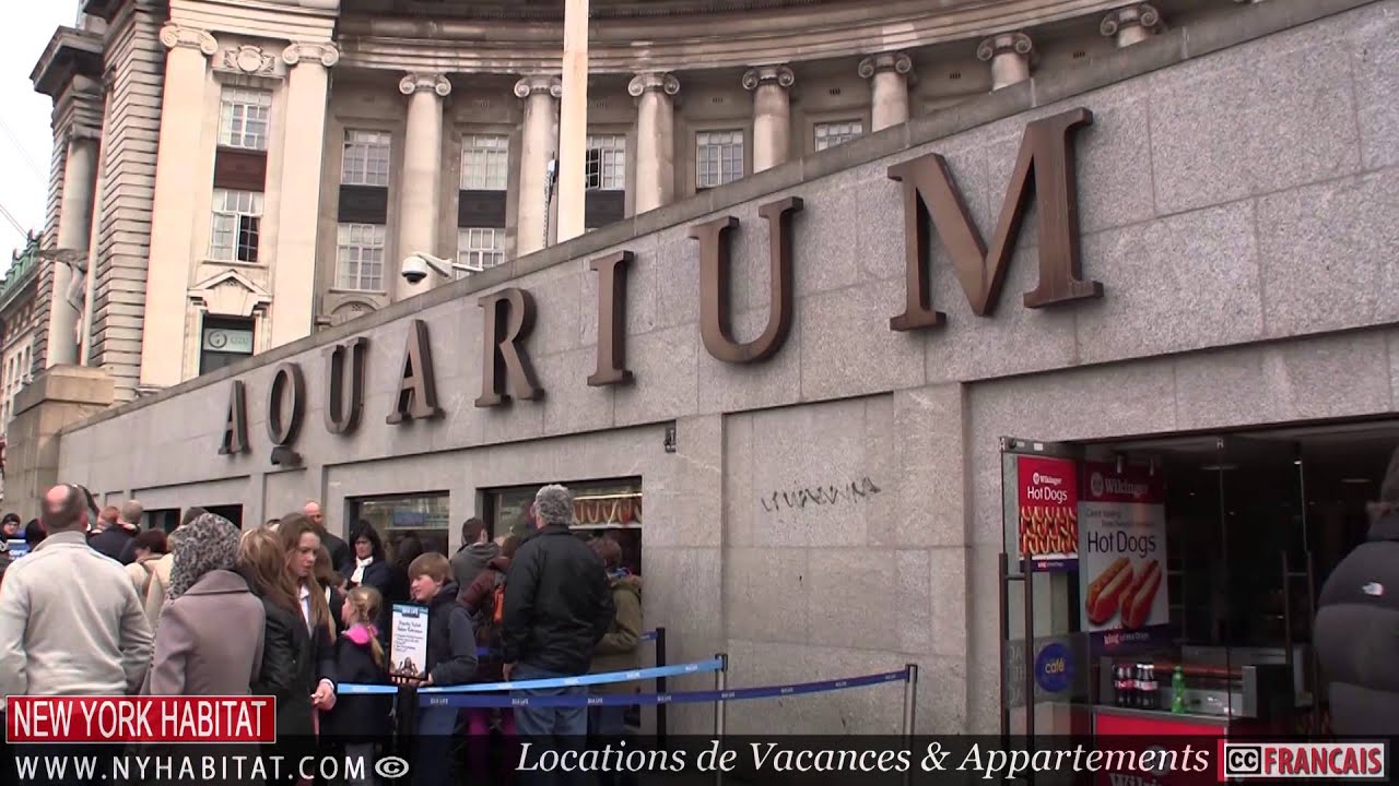 Visite guidée de Londres en vidéo : Lambeth