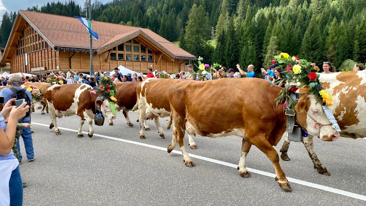 Desmonteada di Soraga di Fassa - Trentino