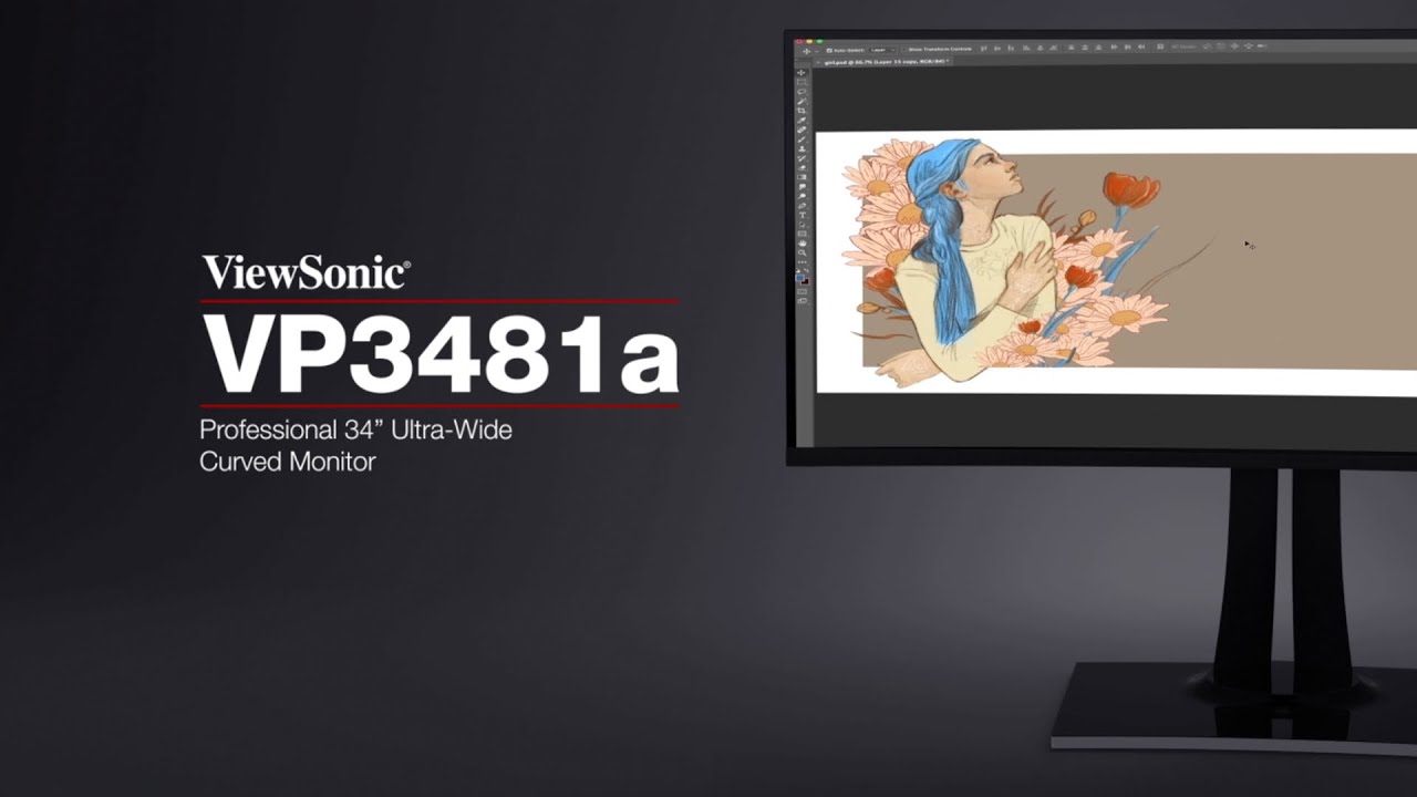 ViewSonic VP3481a Ultra-Wide Curved Monitor