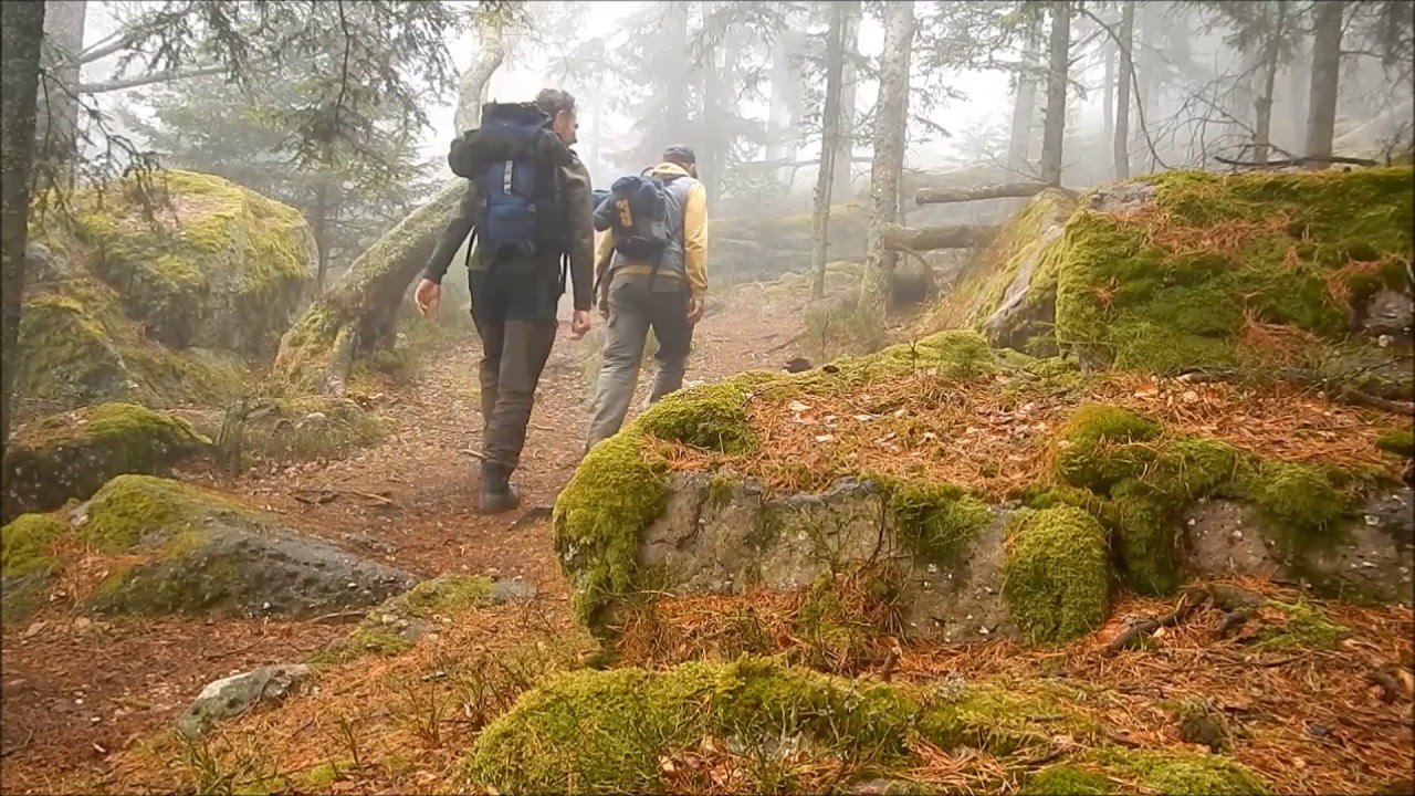 Walking series: Vosges France - Hiking Taennchels Mystical Forest #1