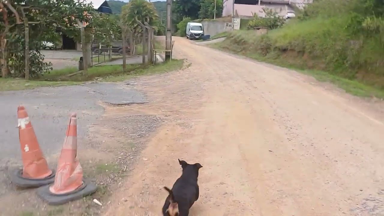 Final de de domingo 