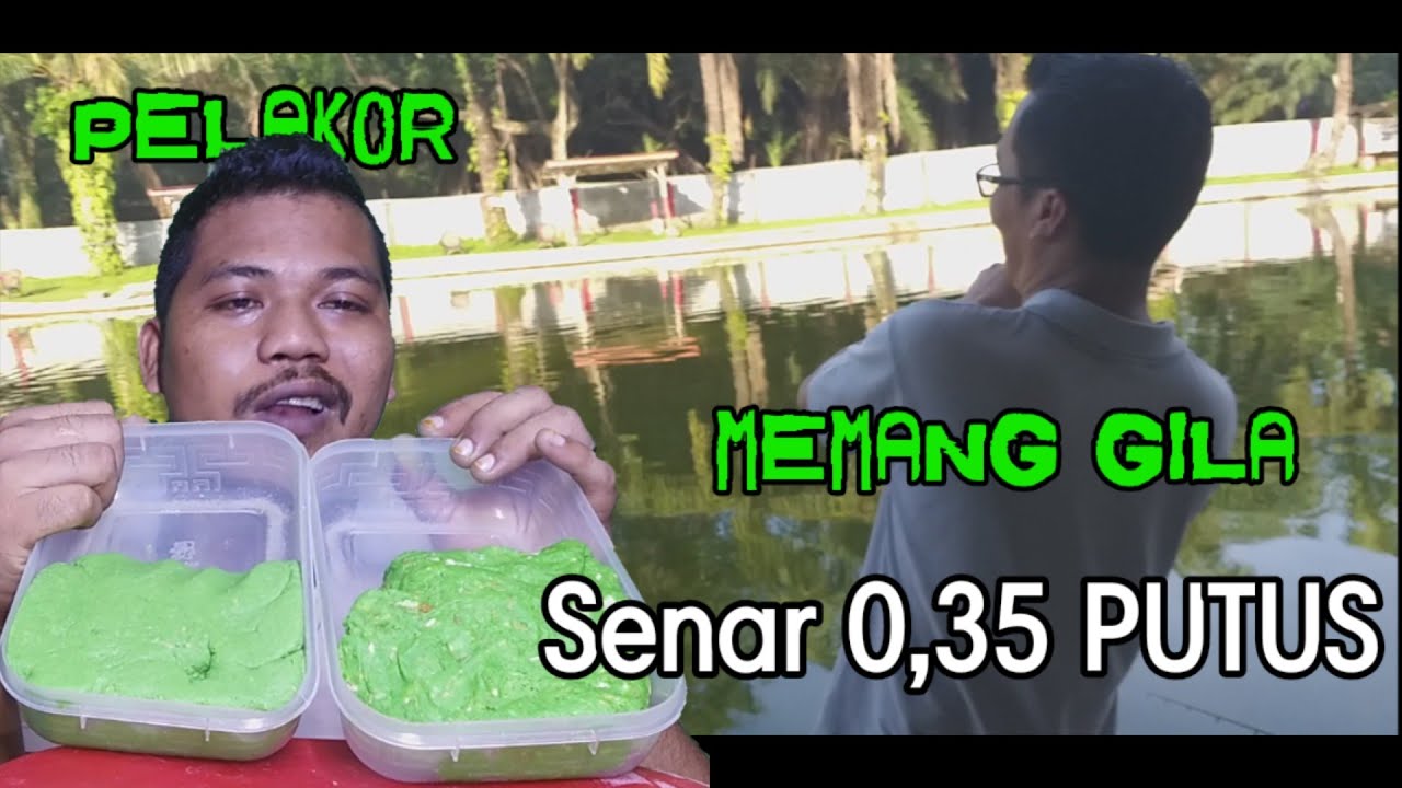 Galatama Ikan Mas TiaraIndah :: Pak Gultom