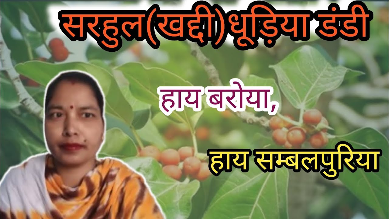 कुड़ूख पारंपरिक खद्दी डंडी || sarhul dhudiya geet song || kurukh tribal akhara sarhul song #adiwasi 