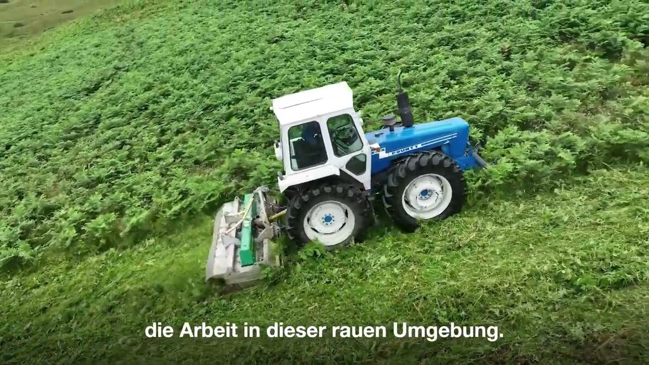 Cyclone verarbeitet Adlerfarn und Weiden in einem Arbeitsgang | MJ31-280 James Stewart
