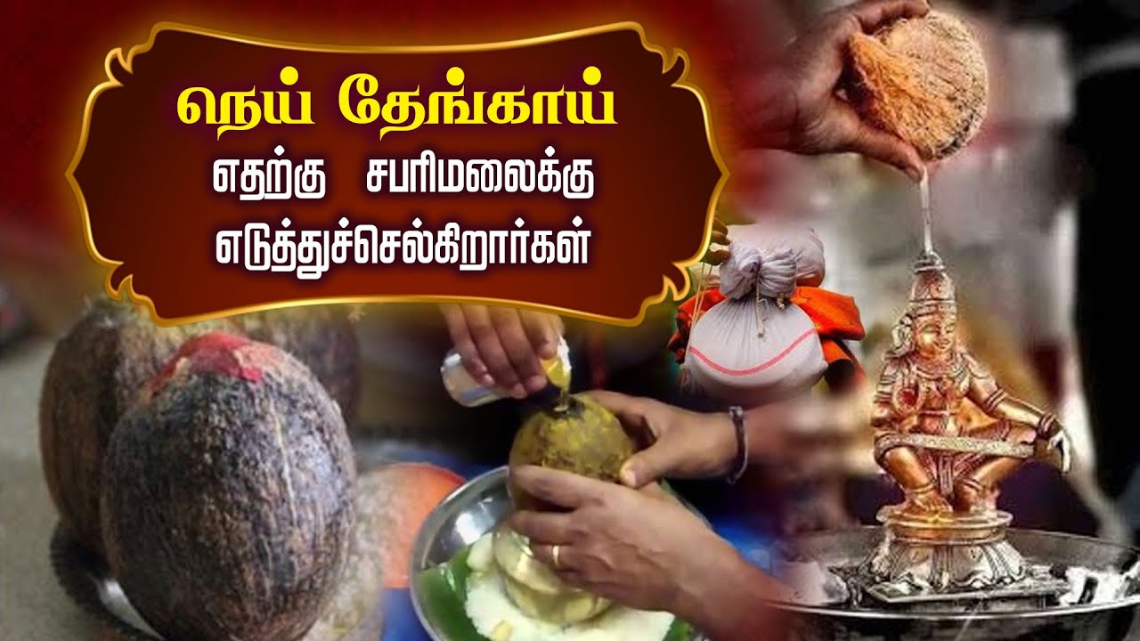 நெய் தேங்காய் எதற்கு சபரிமலைக்கு எடுத்துச்செல்கிறார்கள் | why Ghee Coconut Sabarimalai @gembhakthitv