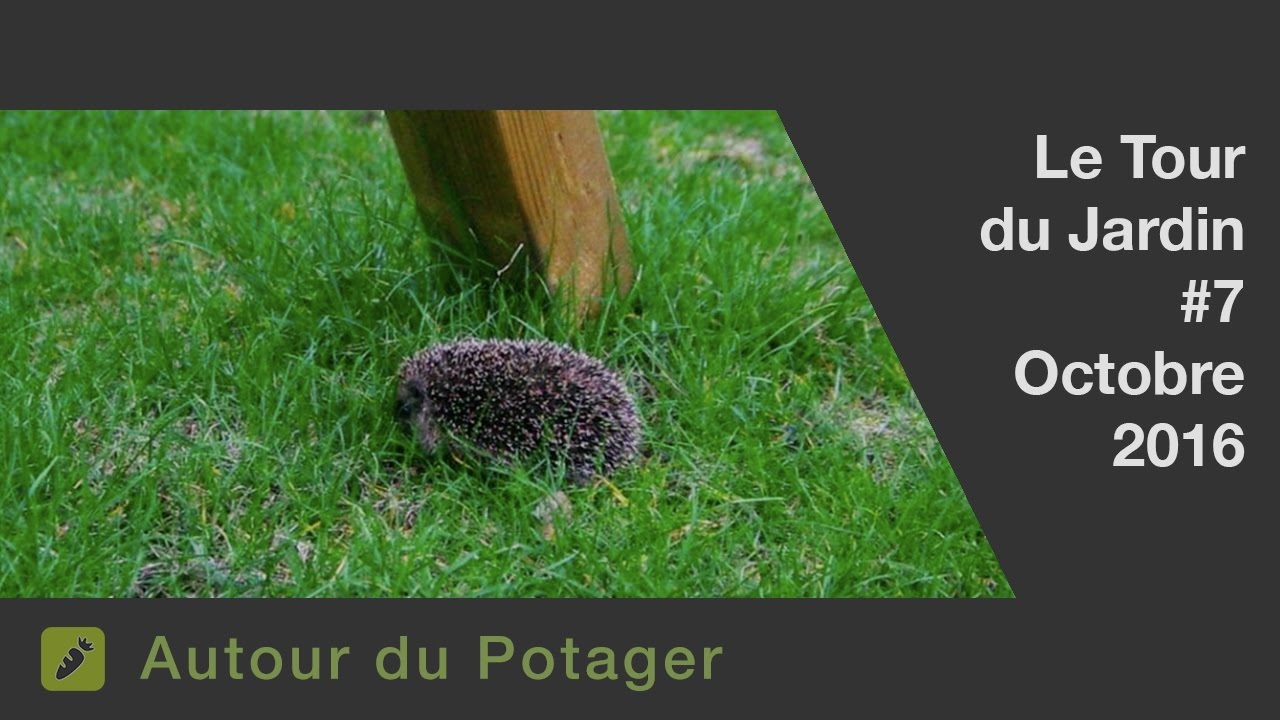 Le potager et le jardin en octobre : La visite