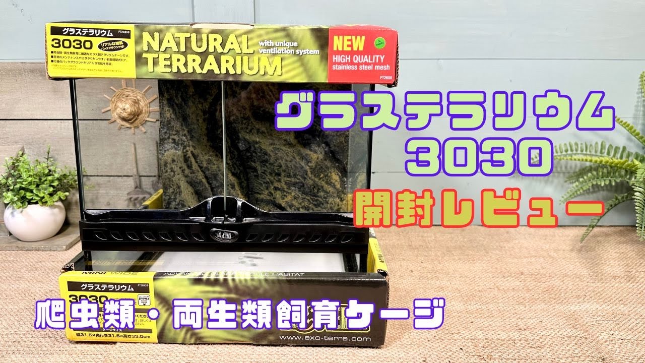 GEX エキゾテラ グラステラリウム3030 開封！使い勝手やおすすめポイントを徹底評価＆レビュー