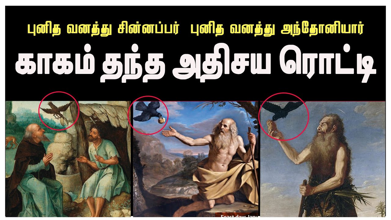 புனிதர்களுக்கு அதிசய காகம் எடுத்து வந்த அதிசய ரொட்டி| வனத்து சின்னப்பர் வனத்து அந்தோனியார் வரலாறு