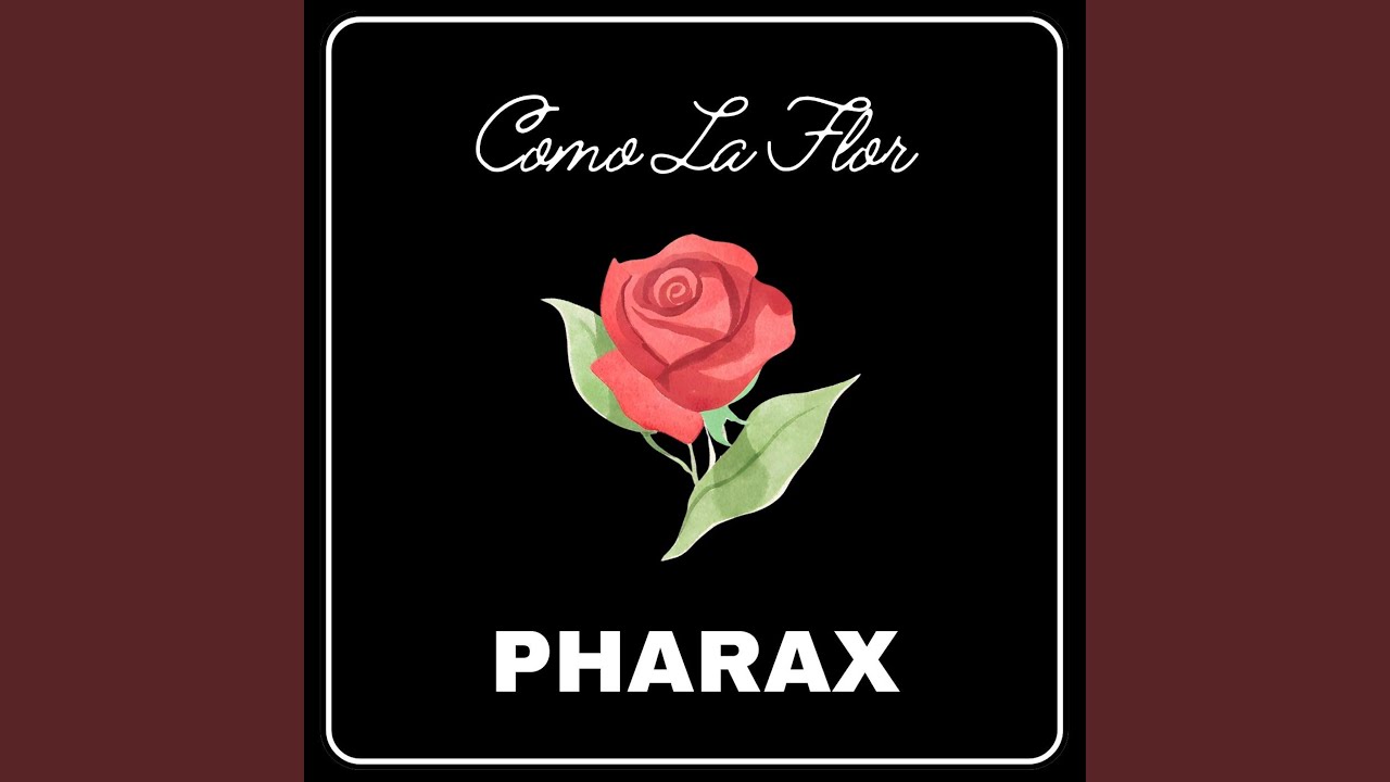 Como La Flor