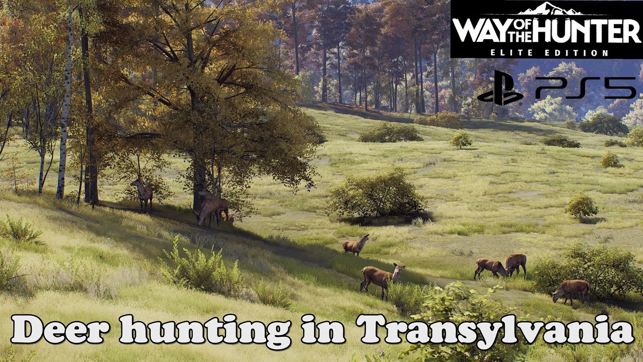 Deer Hunting in Transylvania! | Way of the Hunter 4k Ps5