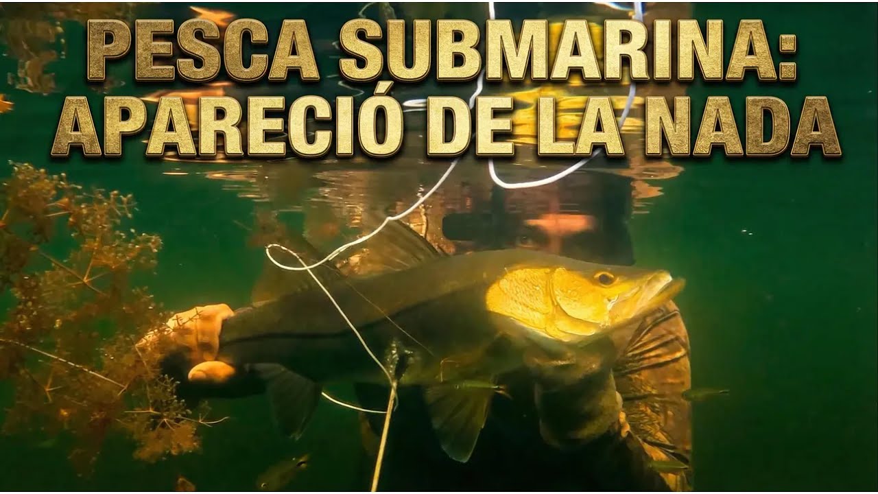 Apareció de la nada