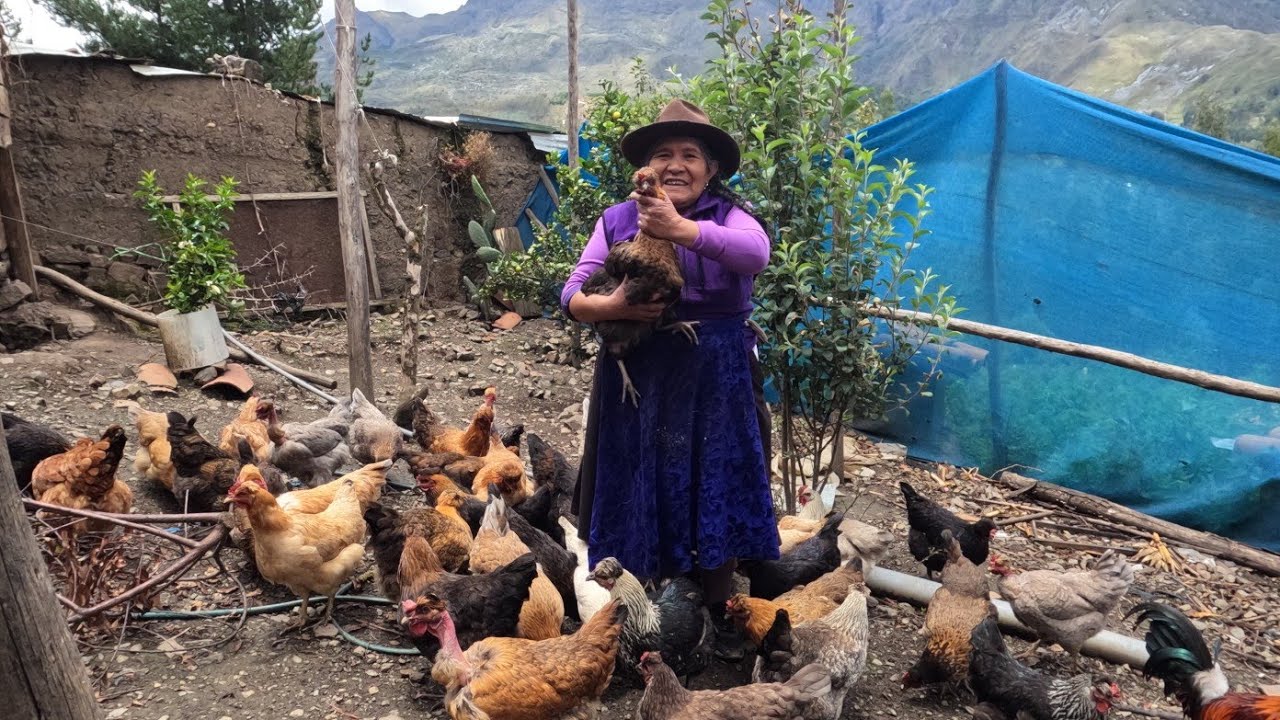 Vamos Hacer Gallina de  Almuerzo,  hoy! Día Internacional de la Mujer "Feliz Día"